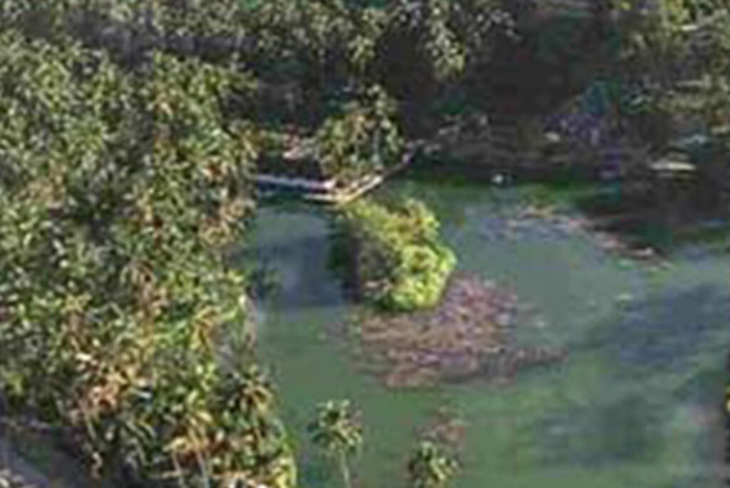 Eye Candi – discover East Bali