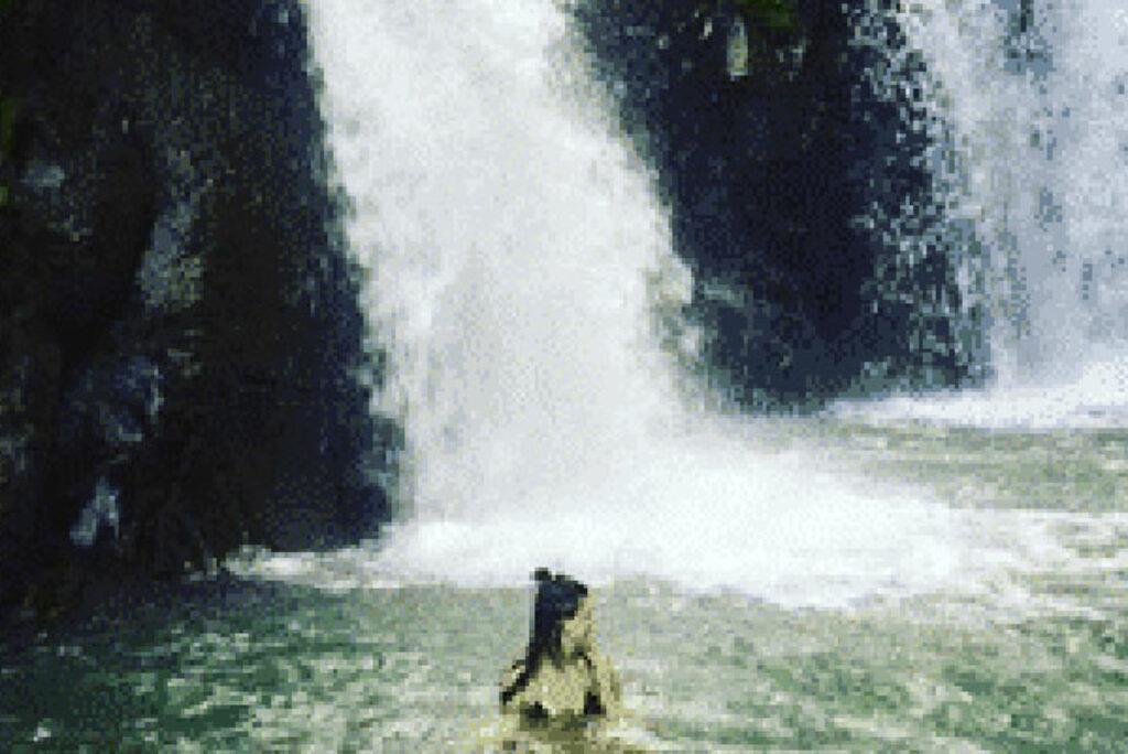 8 Things to do in Lovina, North Bali