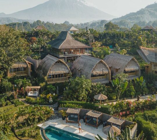Samanvaya Bali