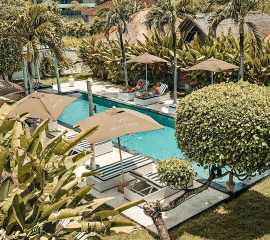 White Palm Hotel