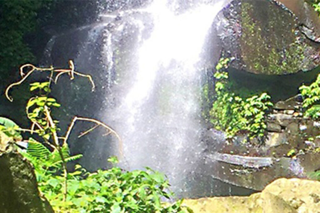 Postcard from Rural Bali – From Cocktails to Compost.