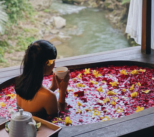 Maya Ubud