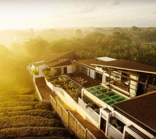 Mandala. The House