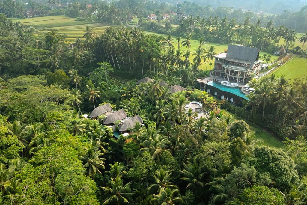 Abisena Ubud: Luxury Retreat in Bali for Wellness & Tranquillity