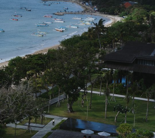 The meru