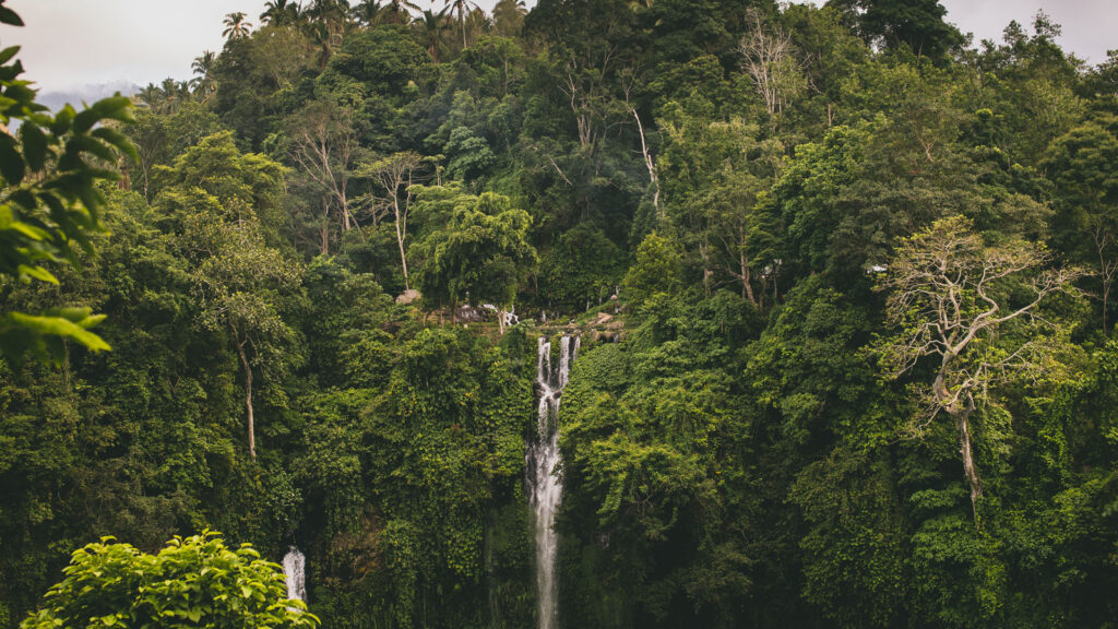 bali waterfall