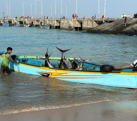 Jimbaran Fish Market Jimbaran Fish Market