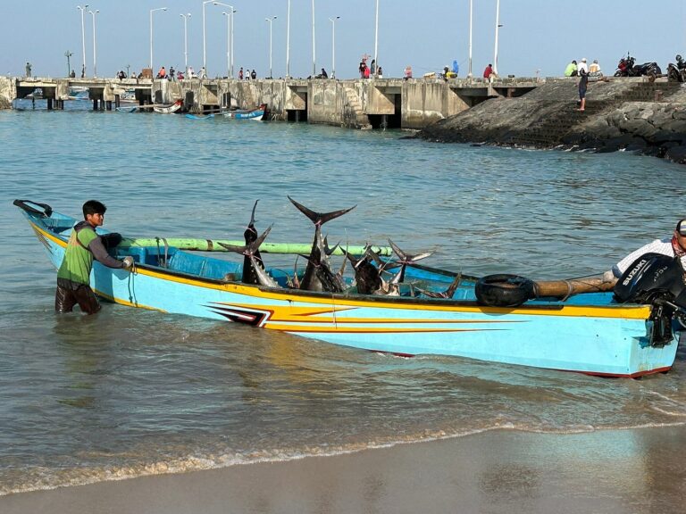 fish market, traditional market